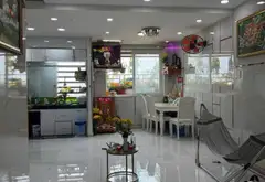 Bán nhà mặt phố tại Phường 7, Quận 8, 6 tầng, mặt tiền 8m, nội thất cao cấp... Bán nhà mặt phố tại Bình Đông, Hồ Chí Minh 04