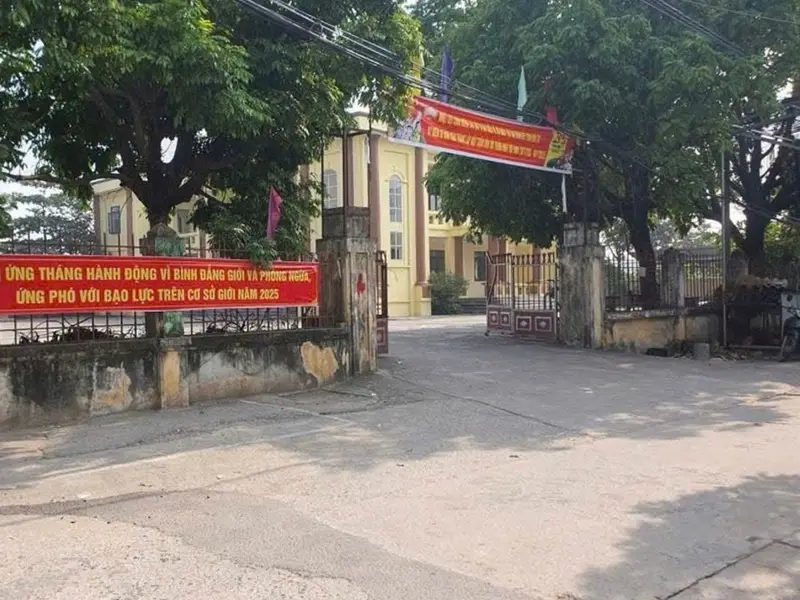Bán đất thổ cư 42.8m2 tại Trung Hậu Đông, Mê Linh, mặt tiền 4.3m, pháp lý rõ ràng... Bán đất tại Mê Linh, Hà Nội 01