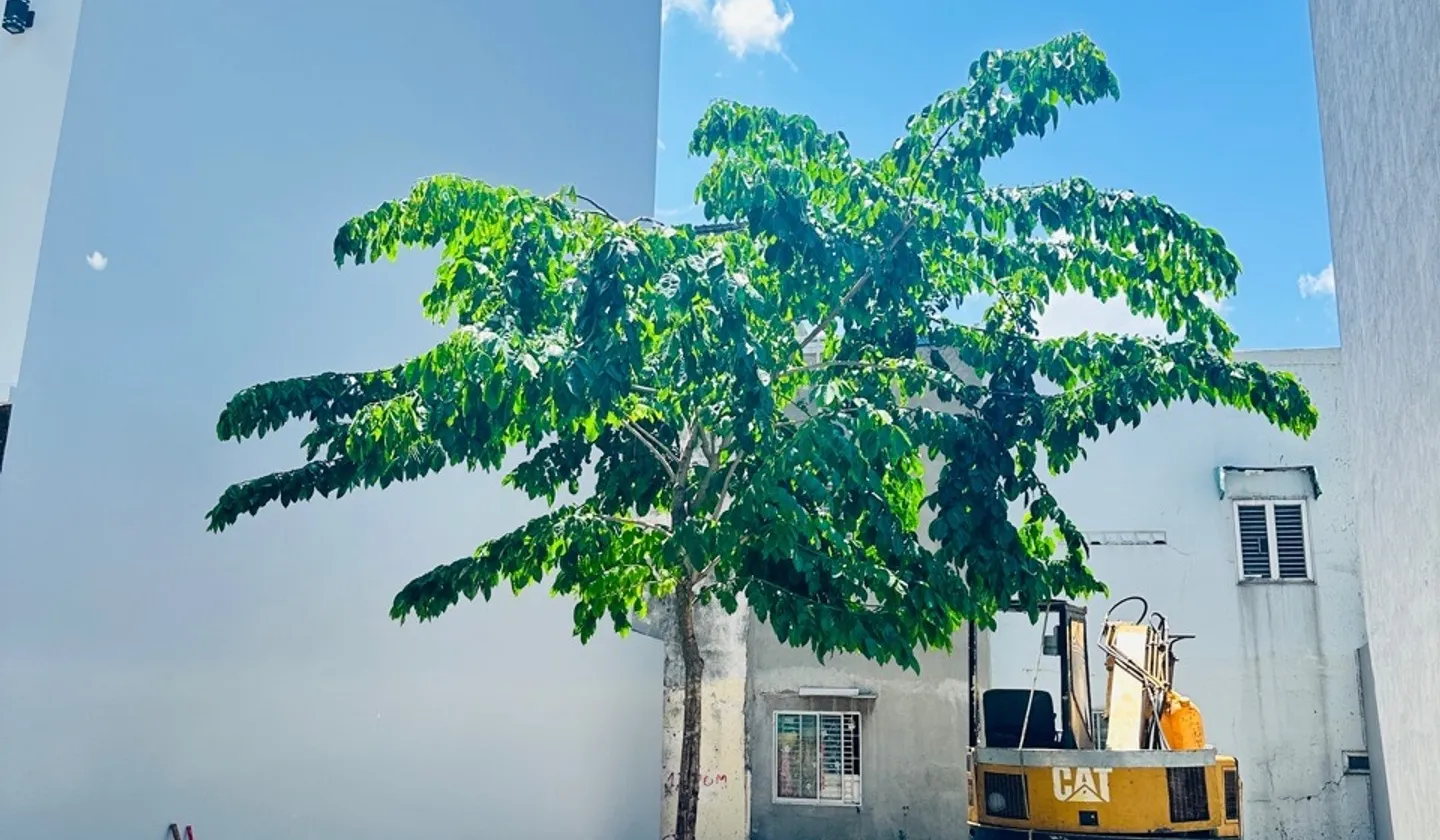 Cơ hội hiếm có sở hữu nền đất 50m2 vị trí vàng tại Nguyễn Ảnh Thủ... Bán đất tại Trung Mỹ Tây, Hồ Chí Minh 01