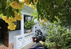 🔥 NHÀ 120M² – SAU LƯNG MẶT TIỀN – TIỀM NĂNG XÂY CHDV – NHỈNH 9 TỶ... Bán nhà riêng tại Bình Tây, Hồ Chí Minh 02