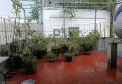 Bán gấp nhà Đẹp Gara Ô Tô Trung Tâm Long Biên, 3 Mặt Thoáng... Bán nhà riêng tại Việt Hưng, Hà Nội 04