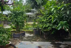 Bán nhà vườn 1030m2 thổ cư 825m2 xã Vĩnh Lộc A Bình Chánh... Bán nhà riêng tại Vĩnh Lộc, Hồ Chí Minh 06