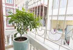 Nhà phố Kim Giang 4 tầng thiết kế tinh tế, vị trí đắc địa, mặt ngõ thông, ô tô chạy,tiện kinh doanh... Bán nhà riêng tại Thanh Liệt, Hà Nội 08