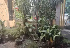 Nhà mặt phố Lý Thường Kiệt phường 8 quận Tân Bình diện tích 290m2, 3 tầng kiên cố... Bán nhà mặt phố tại Tân Hòa, Hồ Chí Minh 04