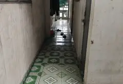 Nhà Mặt Phố 5 Tầng, Mặt Tiền Đẹp Tân Tạo A... Bán nhà mặt phố tại Tân Tạo, Hồ Chí Minh 09