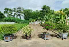 Bán đất vuông vắn mặt tiền 5m tại Phùng Dị, Ngọc Xá... Bán đất tại Quế Võ, Bắc Ninh 07