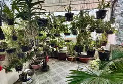 Nhà mặt phố 4 tầng diện tích 69.3m² tại quận 6 giá 11.9 tỷ... Bán nhà mặt phố tại Bình Phú, Hồ Chí Minh 01
