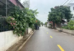 ĐẤT PHÂN LÔ- HÌNH THỬA A4- MẶT TIỀN RỘNG- MẶT NGÕ Ô TÔ THÔNG- GIÁ ĐẦU TƯ... Bán đất tại Văn Giang, Hưng Yên 06