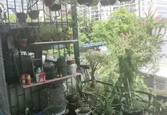 Nhà phố 3 tầng hiện đại tại Gò Cát, Quận 9... Bán nhà mặt phố tại Long Trường, Hồ Chí Minh 12