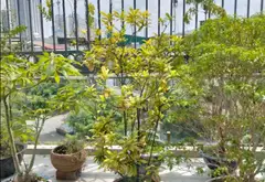Bán nhà mặt phố 5 tầng có thang máy, vị trí trung tâm KĐT Văn Phú 92m2 5 tầng thang máy Kinh Doanh... Bán nhà mặt phố tại Hà Đông, Hà Nội 07