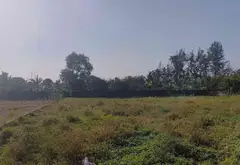 Bán đất thổ cư cao cấp tại Hoàng Phan Thái với diện tích rộng et không gian sống riêng tư... Bán đất tại Bình Chánh, Hồ Chí Minh 10