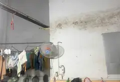 Mt huỳnh thị hai, 100m2, mặt tiền 5m, đường 12m tại Quận 12... Bán nhà mặt phố tại Trung Mỹ Tây, Hồ Chí Minh 03