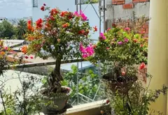 Biệt thự mini sang chảnh gần chợ Gò Xoài... Bán nhà riêng tại Bình Hưng Hòa, Hồ Chí Minh 13