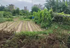 Lô đất góc hai mặt thoáng tại khu tái định cư Tràng Cát, Hải Phòng... Bán đất tại Hải An, Hải Phòng 01