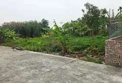 ĐẤT ĐẸP – VUÔNG VẮN – ĐƯỜNG Ô TÔ – ĐÓN ĐẦU KHU CÔNG NGHIỆP... Bán đất tại Phạm Ngũ Lão, Hưng Yên 04