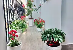 🏠 NHÀ TÂN BÌNH G.I.Á GÒ VẤP 🚘 HXH HUỲNH VĂN NGHỆ - NGANG 5M - 76M2 CN ĐỦ - CHỈ HƠN 70TR/M2... Bán nhà riêng tại Tân Sơn, Hồ Chí Minh 05