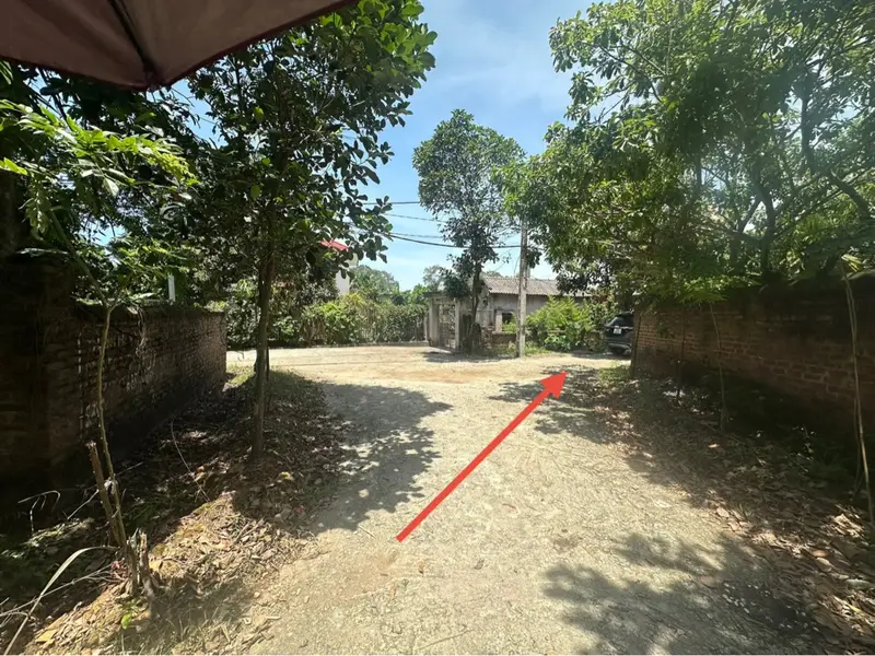Đầu Tư Ngay! Lô Đất Đẹp Tại Sóc Sơn Chờ Chủ Mới!... Bán đất tại Sóc Sơn, Hà Nội 01