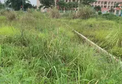 Bán đất thổ cư Thôn 5 Thủy Sơn diện tích 60m2 hướng Đông Nam, giá 1,3 tỷ đồng... Bán đất tại Thủy Nguyên, Hải Phòng 01