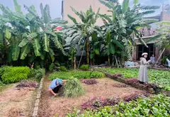 Cơ hội đầu tư mặt tiền rộng tại Gia Lâm.Gần Chợ,Trường học.... Bán nhà riêng tại Thuận An, Hà Nội 02