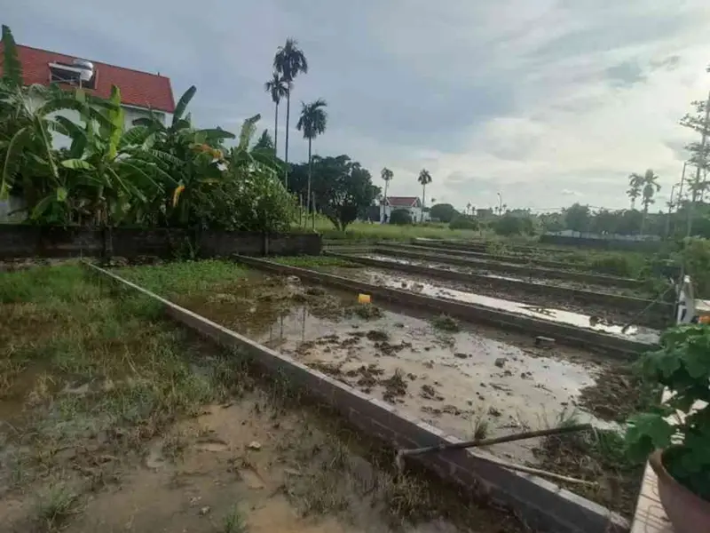 Ngõ ô tô thông thoáng, đất đẹp săn ngay... Bán đất tại An Trường, Hải Phòng 01