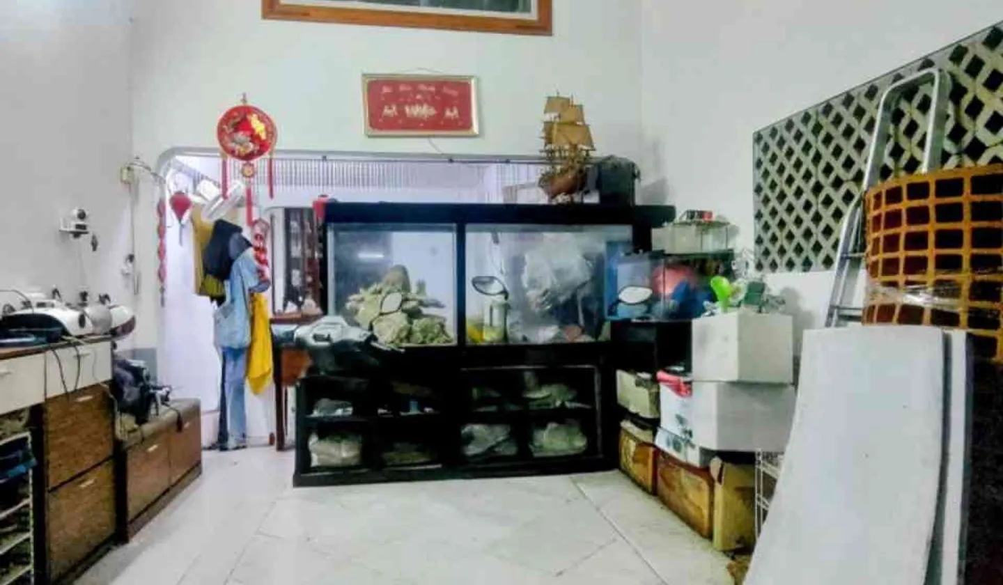 Nhà đẹp rộng rãi gần Lotte Mart với 6 phòng ngủ... Bán nhà riêng tại Thông Tây Hội, Hồ Chí Minh 01