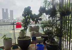 Bán căn hộ chung cư 4 phòng ngủ, chung cư TSQ Mỗ Lao, Hà Đông, diện tích 202m2... Bán căn hộ chung cư tại Hà Đông, Hà Nội 19