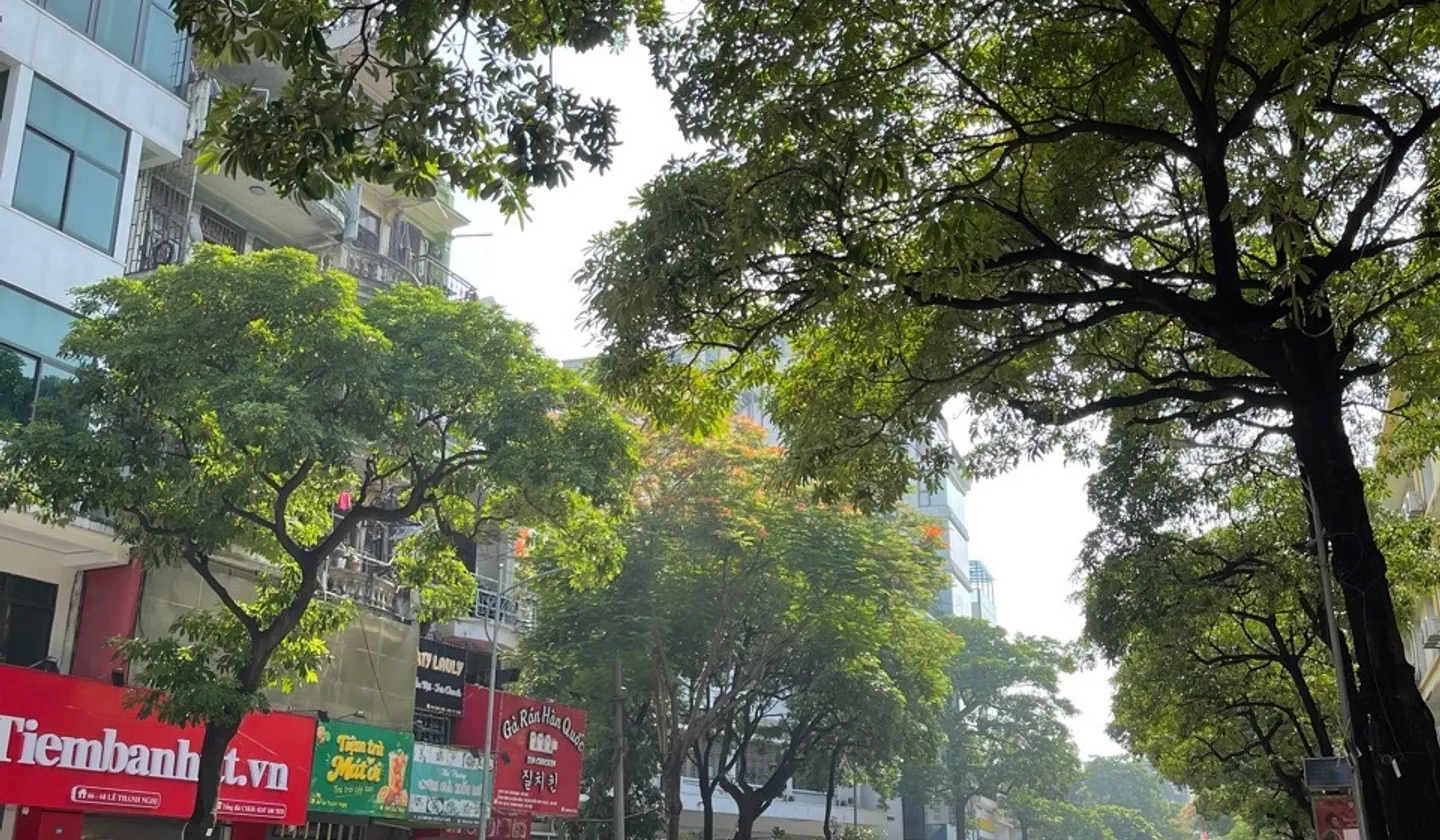 Bán nhà mặt phố 9 tầng tại quận trung tâm, diện tích 118m2... Bán nhà mặt phố tại Bạch Mai, Hà Nội 01