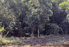 Bán nhà riêng diện tích lớn tại xã Xuân Thới Sơn, Hóc Môn... Bán nhà riêng tại Xuân Thới Sơn, Hồ Chí Minh 05