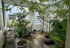 Cơ hội hiếm có sở hữu nhà 4 tầng hẻm xe hơi Quận 7 giá tốt... Bán nhà riêng tại Tân Thuận, Hồ Chí Minh 12