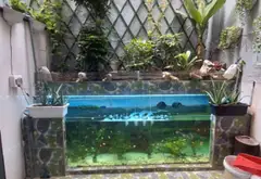 Cơ hội hiếm có sở hữu nhà 5 tầng xây mới tại Trung Mỹ Tây giá chỉ 5.1 tỷ... Bán nhà riêng tại Trung Mỹ Tây, Hồ Chí Minh 11