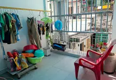 Quận 7 - ngay Lotte Mart - nhà 2 tầng 2PN - 💰 4,6 tỷ TL... Bán nhà riêng tại Tân Hưng, Hồ Chí Minh 05