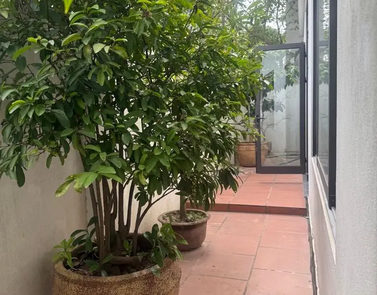 BIỆT THỰ HÀ PHONG – HOÀN THIỆN ĐẸP – FULL NỘI THẤT
🏡 Nhà đẹp, chủ hoàn thiện cực tâm huyết, nay cầ... Bán biệt thự, liền kề tại Mê Linh, Hà Nội 01