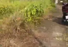 Cơ hội sở hữu lô đất đẹp chuẩn vị trí vàng tại thôn Hầu, Lâm Động... Bán đất tại Thiên Hương, Hải Phòng 01