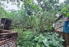 Cơ hội sở hữu đất 272m2 tại Hưng Yên giá tốt, vị trí đẹp, pháp lý rõ ràng, tiềm năng tăng giá... Bán đất tại Triệu Việt Vương, Hưng Yên 01