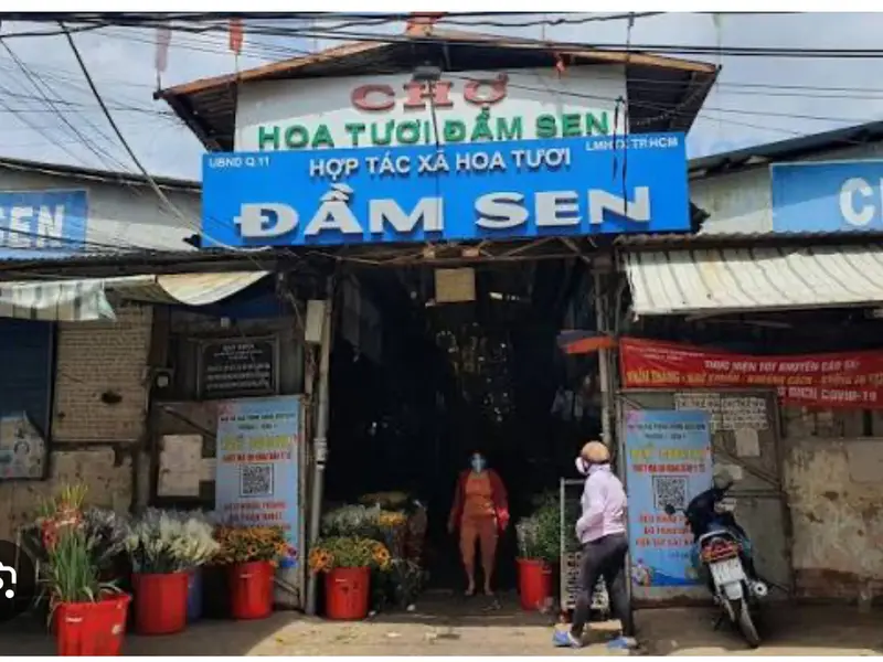 B.án Nh.à gần chợ hoa Đầm Sen - THCS Lê Quý Đôn - DT: 40m2 - Hẻm 6m thông - nhỉnh 3 tỉ - 2 tầng
ZL... Bán nhà riêng tại Tân Phú, Hồ Chí Minh 01