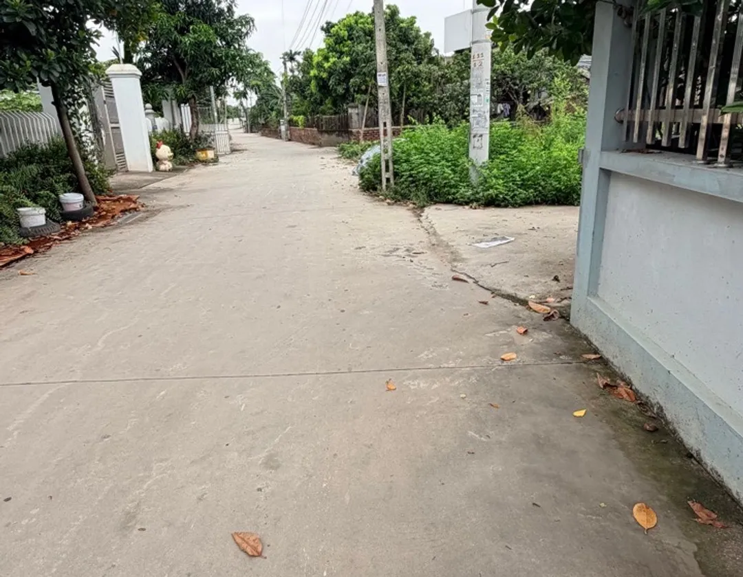 Bán đắt 100m2,tại đông tảo nam... Bán đất tại Hoàn Long, Hưng Yên 01