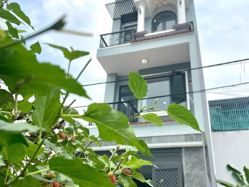 Cơ hội sở hữu nhà riêng 3 tầng tại Phường Long Phước với thiết kế tân cổ điển đẳng cấp... Bán nhà riêng tại Long Phước, Hồ Chí Minh 01