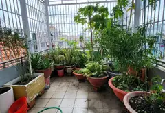 Bán nhà mặt phố 5 tầng diện tích 40m² tại Quận 8, phù hợp kinh doanh... Bán nhà mặt phố tại Chánh Hưng, Hồ Chí Minh 13