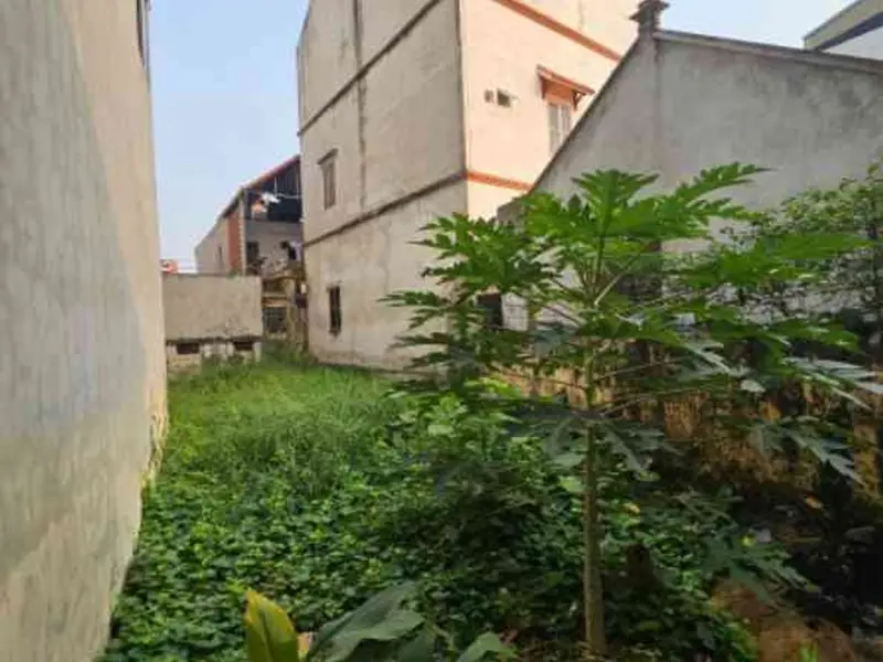 Đất vàng Hà Hồi – Kết nối thuận tiện, sât chợ Vồi Thường Tín... Bán đất tại Hồng Vân, Hà Nội 01