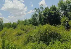 Siêu phẩm đất nền rộng lớn tại Cây Bàng, Tân Nhựt... Bán đất tại Tân Nhựt, Hồ Chí Minh 14