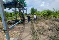 BÁN 2 CÔNG ĐẤT VƯỜN FULL THỔ ,TRƯƠNG VĂN ĐA ĐƯỜNG ĐÁ XANH XE HƠI TỚI ĐẤT... Bán đất tại Bình Lợi, Hồ Chí Minh 17