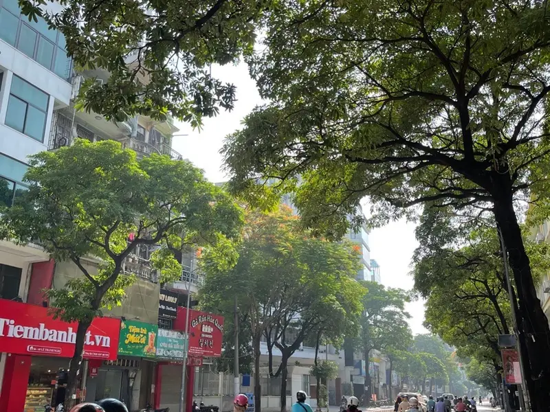 Bán nhà mặt phố 9 tầng tại quận trung tâm, diện tích 118m2... Bán nhà mặt phố tại Bạch Mai, Hà Nội 01