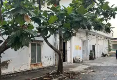 Nhà phố đẳng cấp tại Phú Định, 2516m2, ngang hiếm 25m, view sông thoáng và tiềm năng đầu tư... Bán nhà mặt phố tại Phú Định, Hồ Chí Minh 05