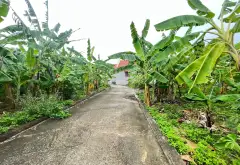 Đất có mặt tiền rộng ngay trung tâm hành chính, tiếp giáp đường ô tô rộng 4 mét... Bán đất tại Lê Ích Mộc, Hải Phòng 04