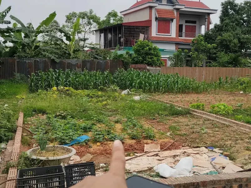 Đất Kinh Doanh Đông Lai Quang Tiến Giá Tốt... Bán đất tại Sóc Sơn, Hà Nội 01