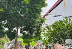 THÔN ĐÔNG MAI - LẠC ĐẠO - HƯNG YÊN... Bán đất tại Như Quỳnh, Hưng Yên 04