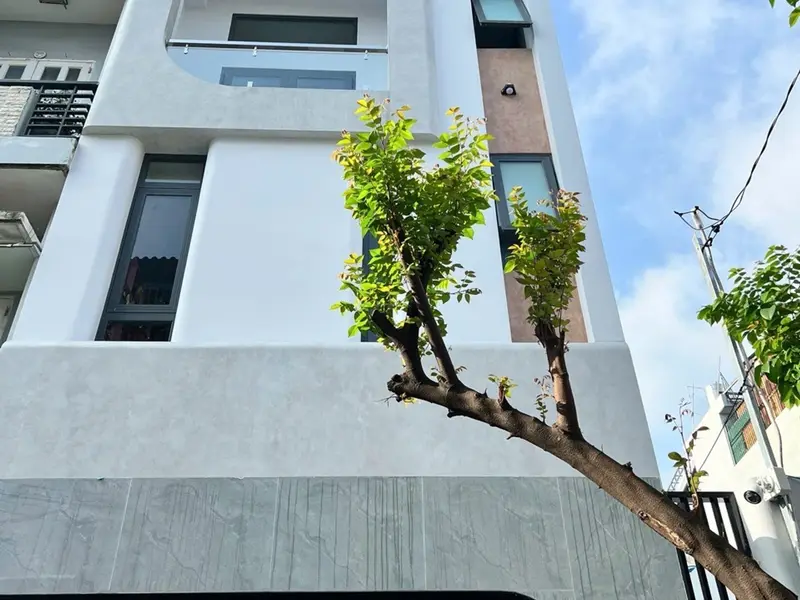 Bán nhà riêng 4 tầng rộng 59m² tại Lê Văn Thọ, Gò Vấp, giá 8,2 tỷ đồng... Bán nhà riêng tại Thông Tây Hội, Hồ Chí Minh 01