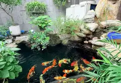 Biệt Thự Đẳng Cấp Hạng Sang Tại Trung Tâm Quận Hồng Bàng... Bán bất động sản khác tại Hồng Bàng, Hải Phòng 03