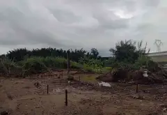 Bán đất 238m2 mặt tiền rộng 20m tại Tân Long, Tân Nhựt, Bình Chánh... Bán đất tại Tân Nhựt, Hồ Chí Minh 05