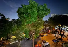 Căn hộ 3 phòng ngủ tại Bán đảo Linh Đàm - Không gian sống xanh mát, tiện ích hoàn hảo... Bán căn hộ chung cư tại Hoàng Liệt, Hà Nội 15